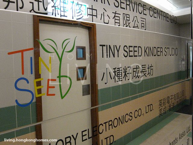 Tiny Seed Kinder Studio